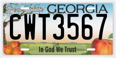 GA license plate CWT3567