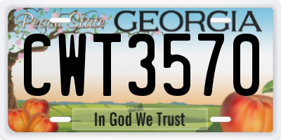 GA license plate CWT3570