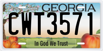 GA license plate CWT3571