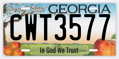 GA license plate CWT3577
