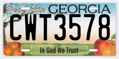GA license plate CWT3578