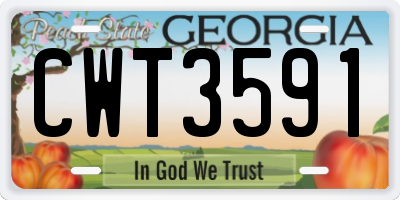 GA license plate CWT3591