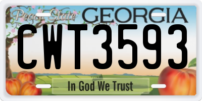 GA license plate CWT3593