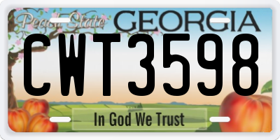 GA license plate CWT3598
