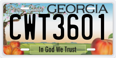 GA license plate CWT3601