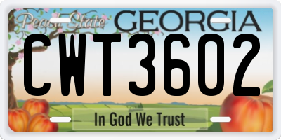 GA license plate CWT3602