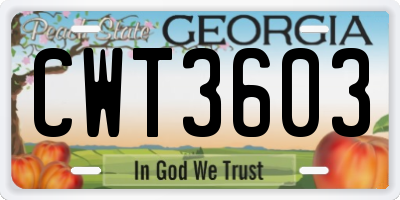 GA license plate CWT3603