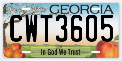 GA license plate CWT3605