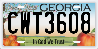 GA license plate CWT3608