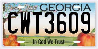 GA license plate CWT3609
