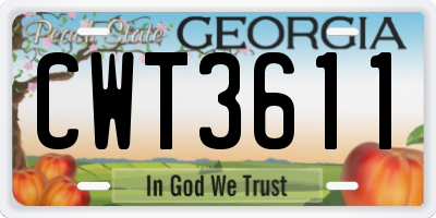 GA license plate CWT3611