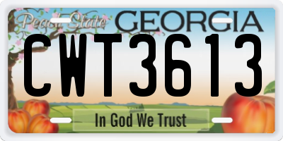 GA license plate CWT3613