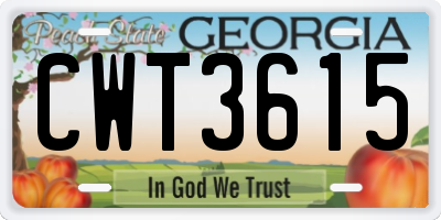 GA license plate CWT3615