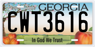 GA license plate CWT3616