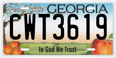 GA license plate CWT3619