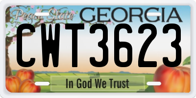 GA license plate CWT3623