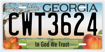 GA license plate CWT3624