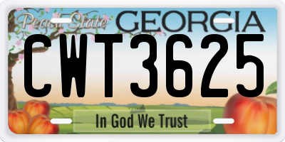 GA license plate CWT3625