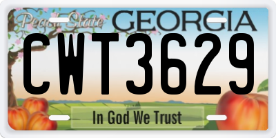 GA license plate CWT3629
