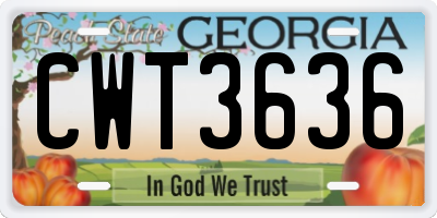GA license plate CWT3636
