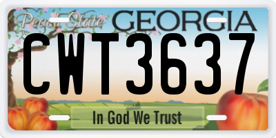 GA license plate CWT3637