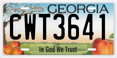 GA license plate CWT3641
