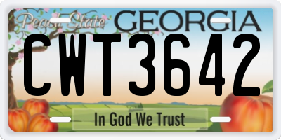 GA license plate CWT3642