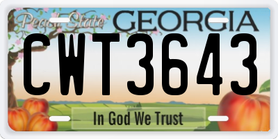 GA license plate CWT3643