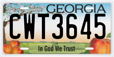 GA license plate CWT3645