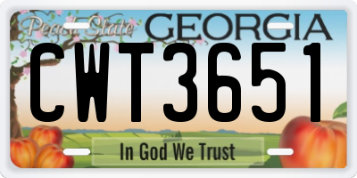GA license plate CWT3651