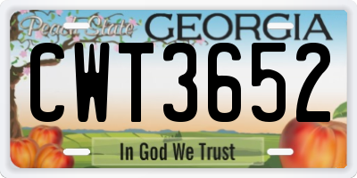 GA license plate CWT3652