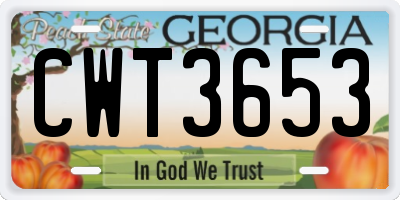 GA license plate CWT3653