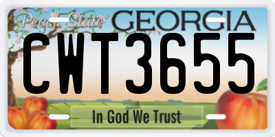 GA license plate CWT3655