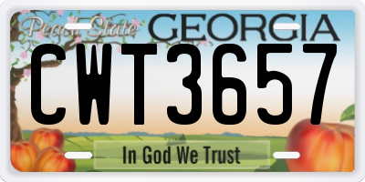 GA license plate CWT3657