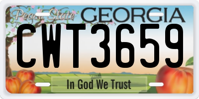 GA license plate CWT3659