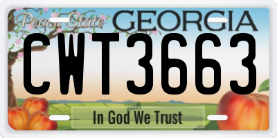 GA license plate CWT3663