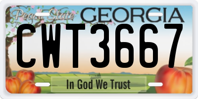 GA license plate CWT3667