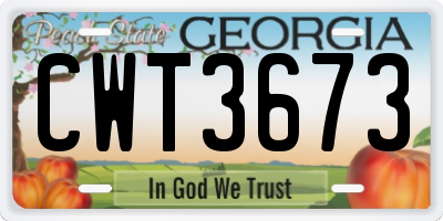 GA license plate CWT3673