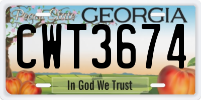 GA license plate CWT3674