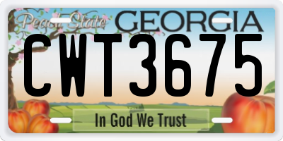 GA license plate CWT3675