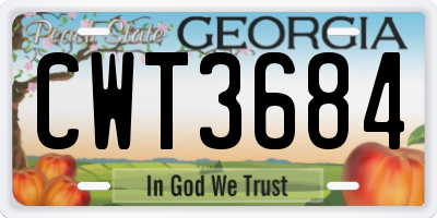 GA license plate CWT3684