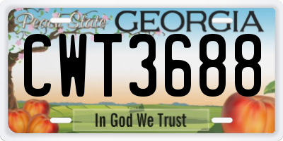 GA license plate CWT3688