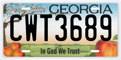 GA license plate CWT3689
