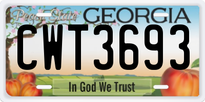 GA license plate CWT3693