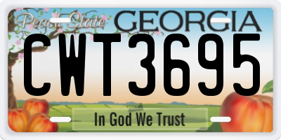 GA license plate CWT3695