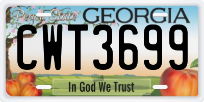 GA license plate CWT3699