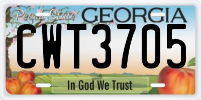 GA license plate CWT3705