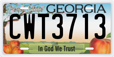 GA license plate CWT3713