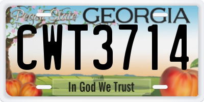 GA license plate CWT3714