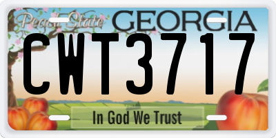 GA license plate CWT3717